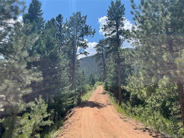 5330 Chipita Pines Drive, Cascade, CO 80809