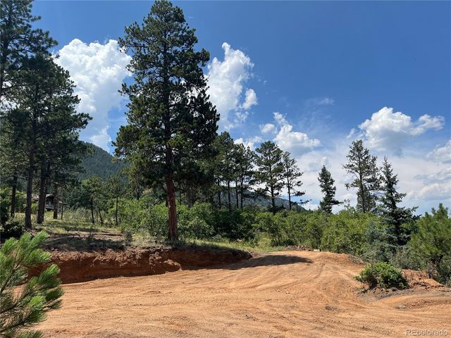 5330 Chipita Pines Drive, Cascade, CO 80809