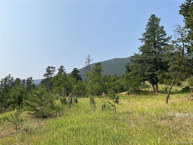 5330 Chipita Pines Drive, Cascade, CO 80809