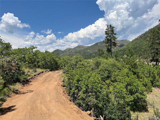 5330 Chipita Pines Drive, Cascade, CO 80809