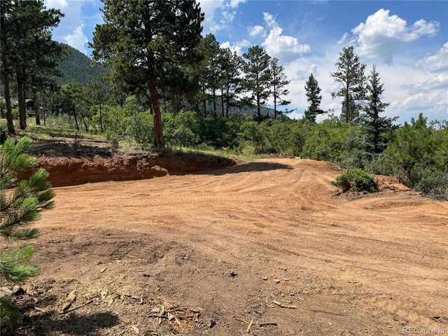 5330 Chipita Pines Drive, Cascade, CO 80809