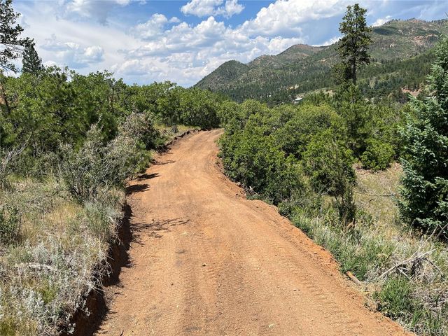 5330 Chipita Pines Drive, Cascade, CO 80809