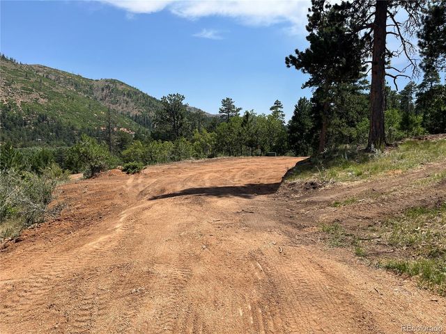 5330 Chipita Pines Drive, Cascade, CO 80809