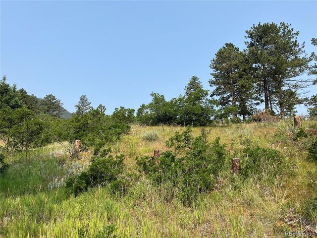 5330 Chipita Pines Drive, Cascade, CO 80809