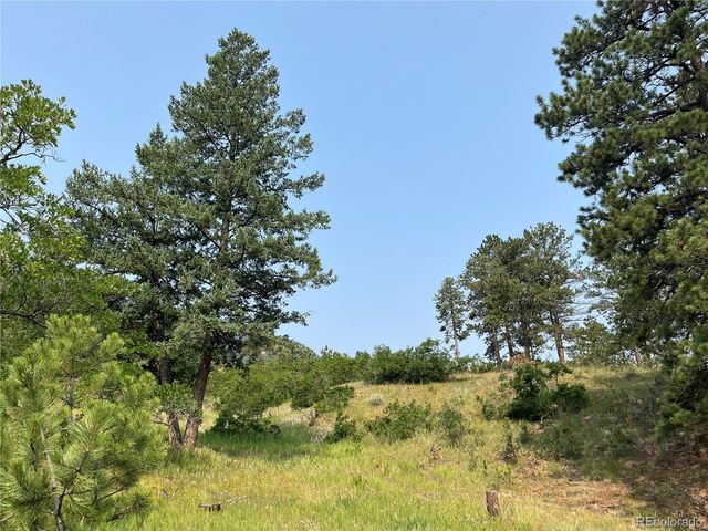 5330 Chipita Pines Drive, Cascade, CO 80809