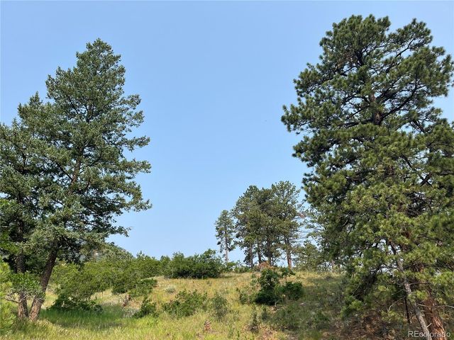 5330 Chipita Pines Drive, Cascade, CO 80809
