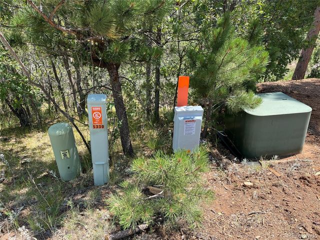 5330 Chipita Pines Drive, Cascade, CO 80809