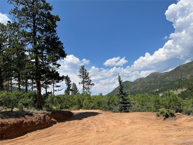 5330 Chipita Pines Drive, Cascade, CO 80809