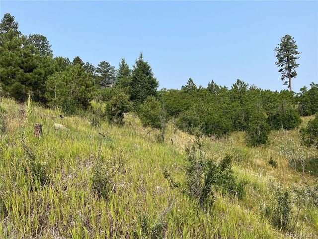 5330 Chipita Pines Drive, Cascade, CO 80809