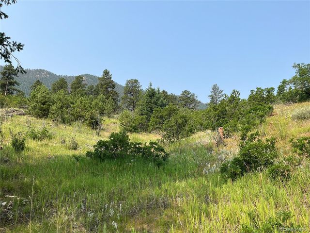 5330 Chipita Pines Drive, Cascade, CO 80809