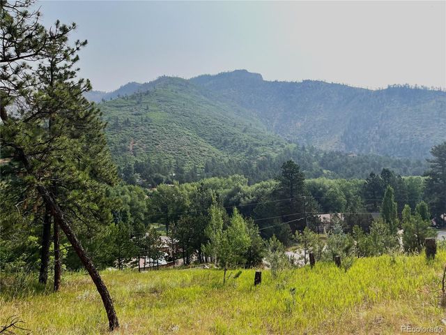 5330 Chipita Pines Drive, Cascade, CO 80809