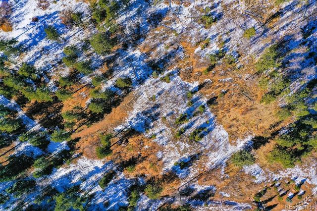 5330 Chipita Pines Drive, Cascade, CO 80809