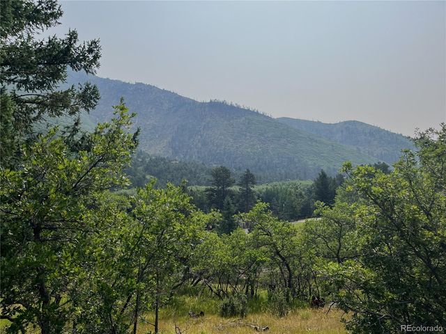 5330 Chipita Pines Drive, Cascade, CO 80809