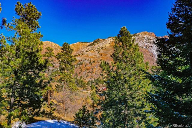 5330 Chipita Pines Drive, Cascade, CO 80809