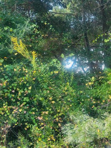 Lot 9 Silk Oak Drive, Defuniak Springs, FL 32433