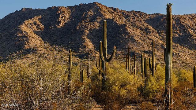 31583 N GOLDFIELD Road, Queen Creek, AZ 85144