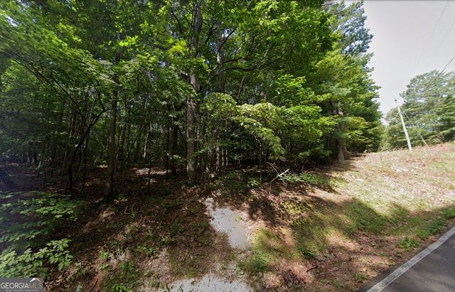 1060 Nexus Drive, Ellijay, GA 30540