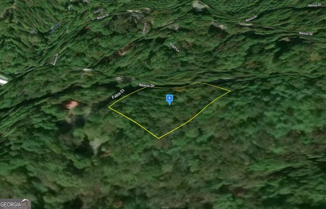 1060 Nexus Drive, Ellijay, GA 30540