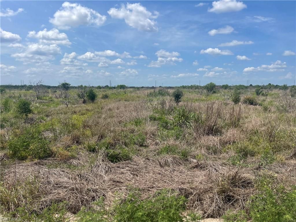 Sears (6th Rd) RD, LABELLE, FL 33935 — photo 5
