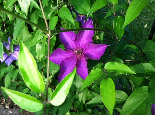 318 ALABAMA RD, Towson, MD 21204