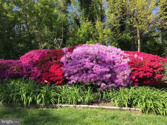 318 ALABAMA RD, Towson, MD 21204