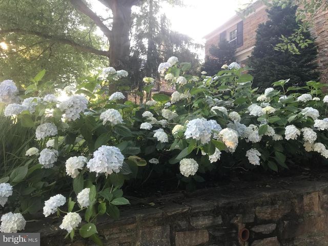 318 ALABAMA RD, Towson, MD 21204