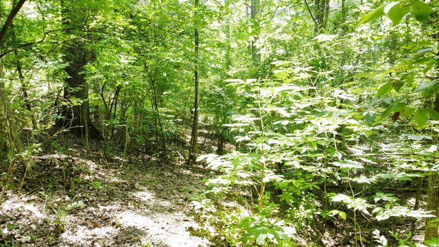 824 Lakeview Drive, Owenton, KY 40359