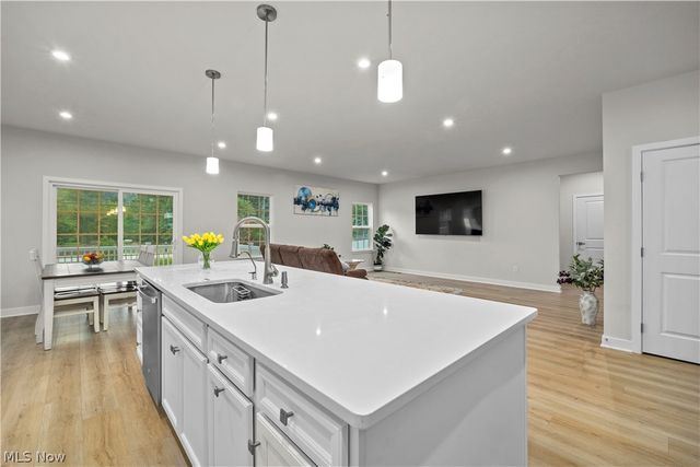 1020 Ashford Court, Columbia Station, OH 44028