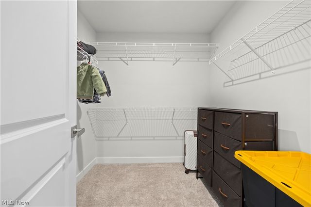 1020 Ashford Court, Columbia Station, OH 44028