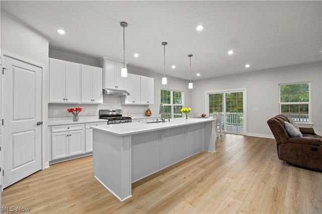 1020 Ashford Court, Columbia Station, OH 44028