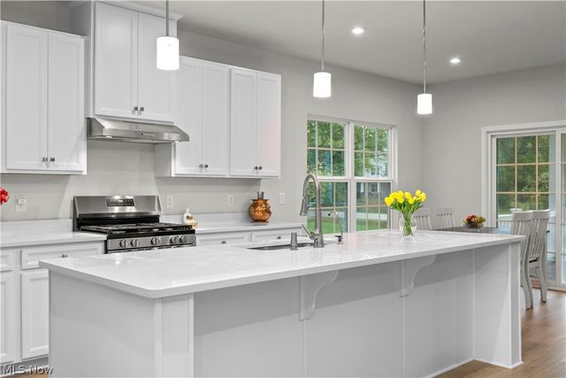1020 Ashford Court, Columbia Station, OH 44028