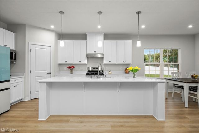 1020 Ashford Court, Columbia Station, OH 44028