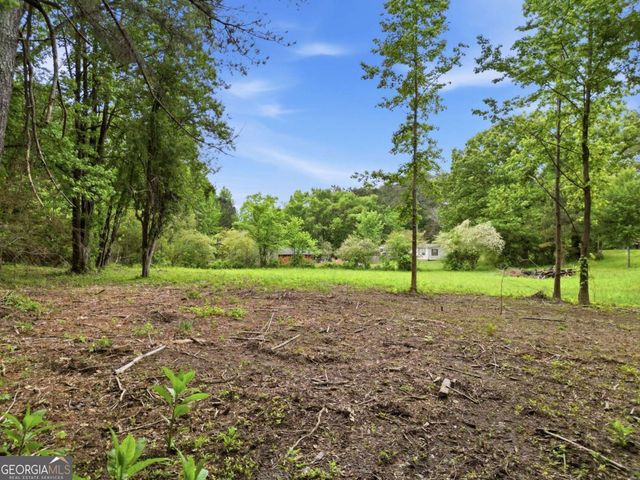 10987 Freehome Highway, Canton, GA 30115