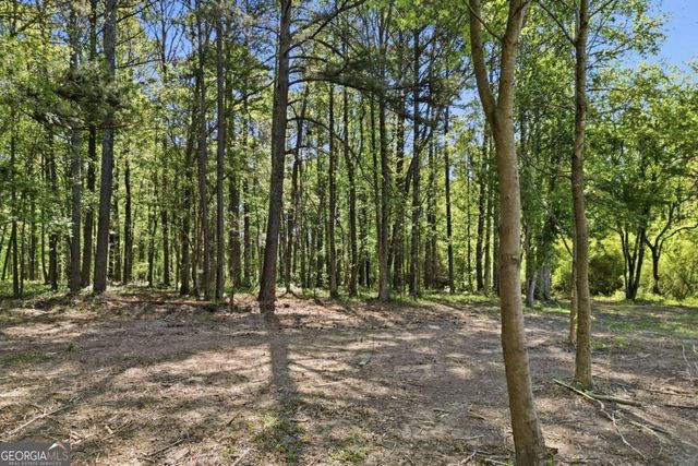 10987 Freehome Highway, Canton, GA 30115