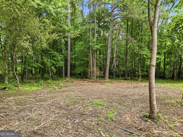 10987 Freehome Highway, Canton, GA 30115