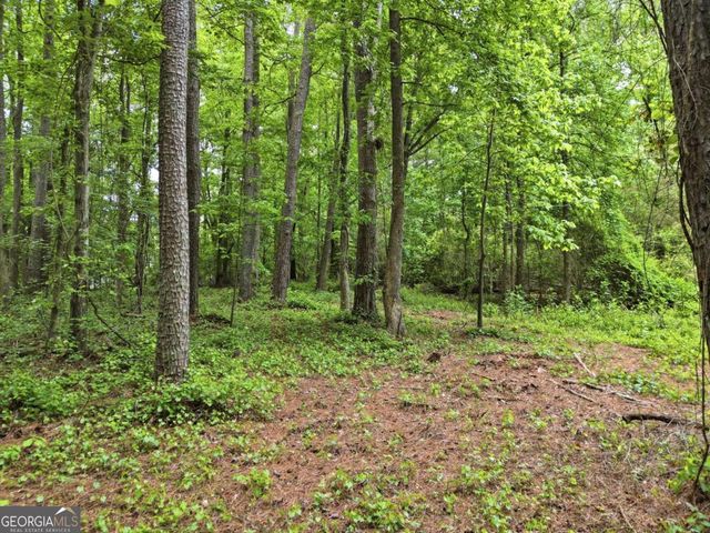 10987 Freehome Highway, Canton, GA 30115