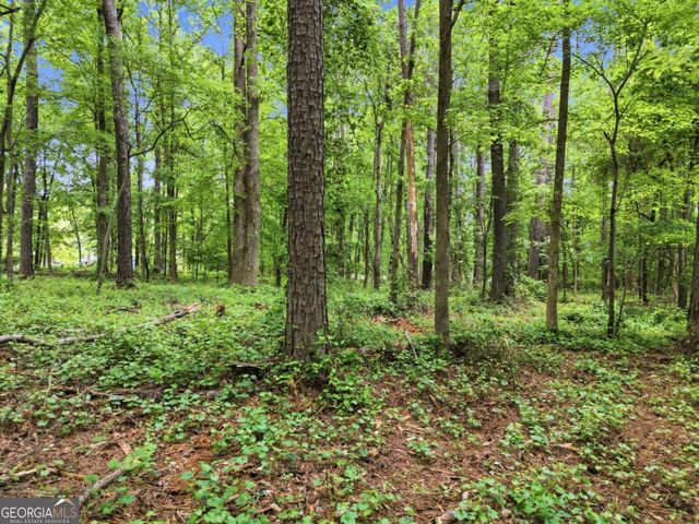 10987 Freehome Highway, Canton, GA 30115
