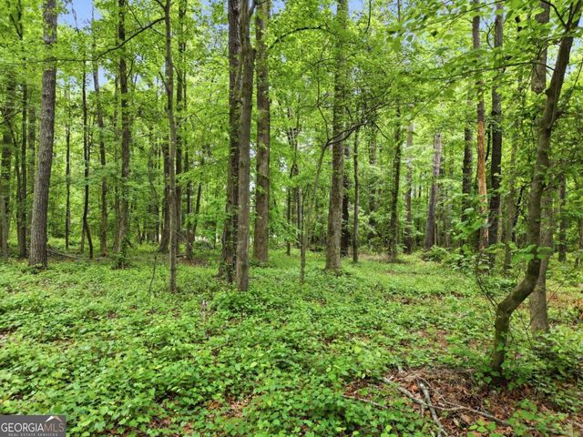 10987 Freehome Highway, Canton, GA 30115