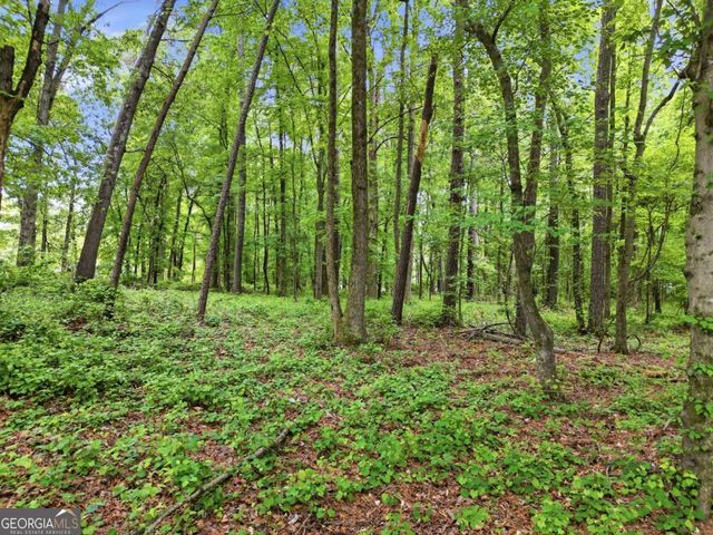 10987 Freehome Highway, Canton, GA 30115