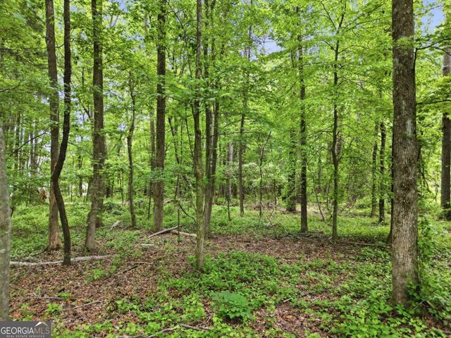 10987 Freehome Highway, Canton, GA 30115