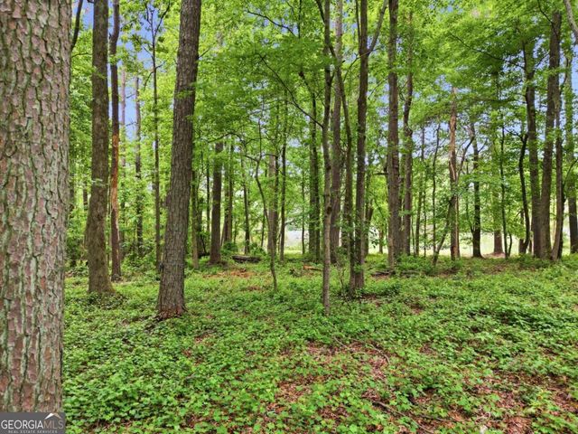 10987 Freehome Highway, Canton, GA 30115