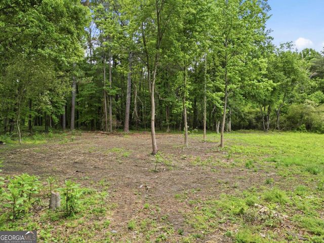 10987 Freehome Highway, Canton, GA 30115