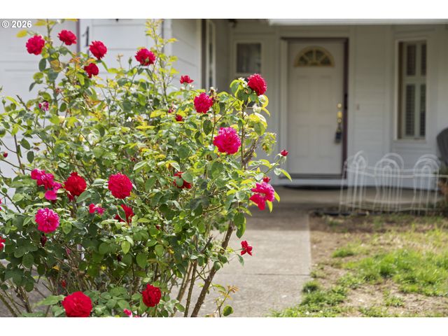 1143 Sw JAMES Ct, Dundee, OR 97115