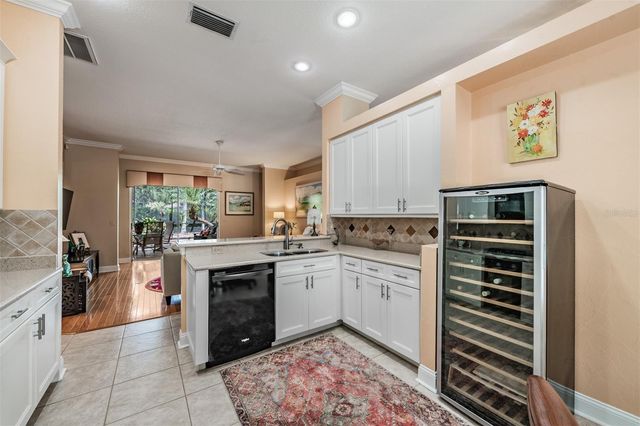 9459 HUNTERS POND DRIVE, Tampa, FL 33647