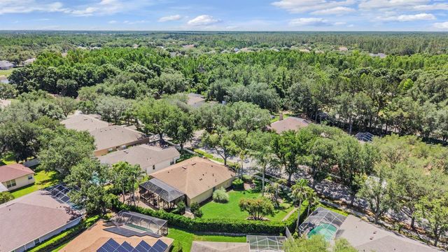 9459 HUNTERS POND DRIVE, Tampa, FL 33647