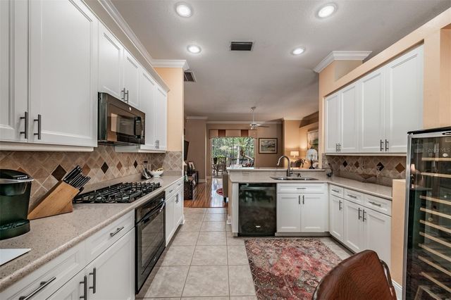 9459 HUNTERS POND DRIVE, Tampa, FL 33647