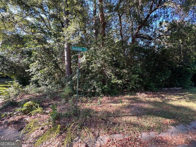 1 Greentree Trail, Centerville, GA 31028