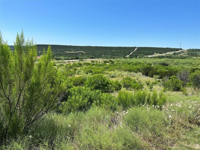 1627 Canyon Wren Loop, Graford, TX 76449