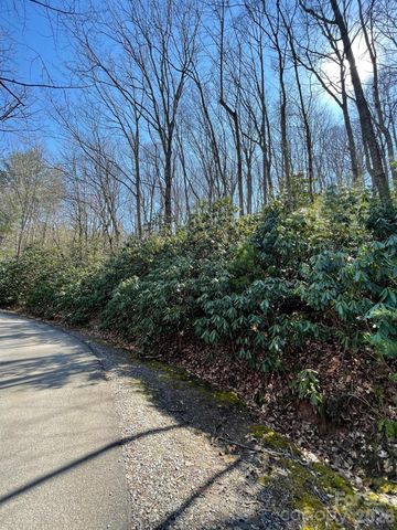 111 Deer Run Lane 40, Asheville, NC 28805