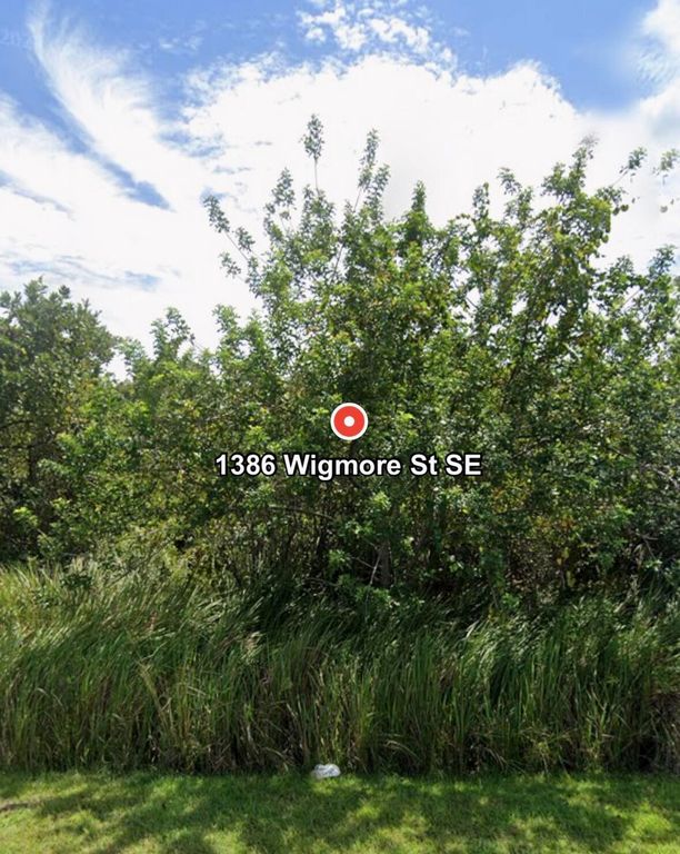 1386 SE Wigmore St Street SE, Palm Bay, FL 32909